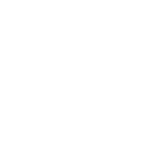 BIS FHD
