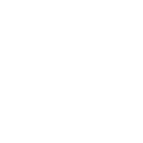 Record RN FHD